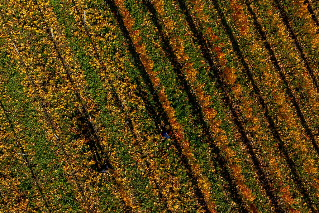 Herbstliche Steilhänge