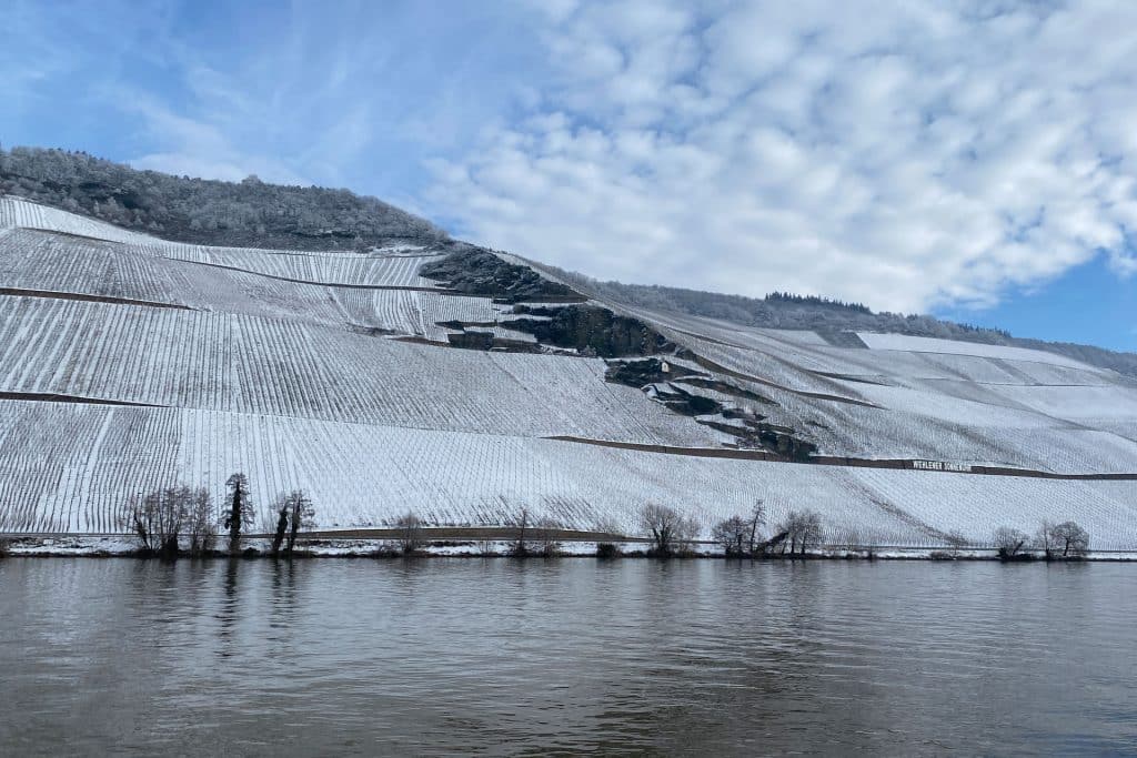 Weinberge im Schnee