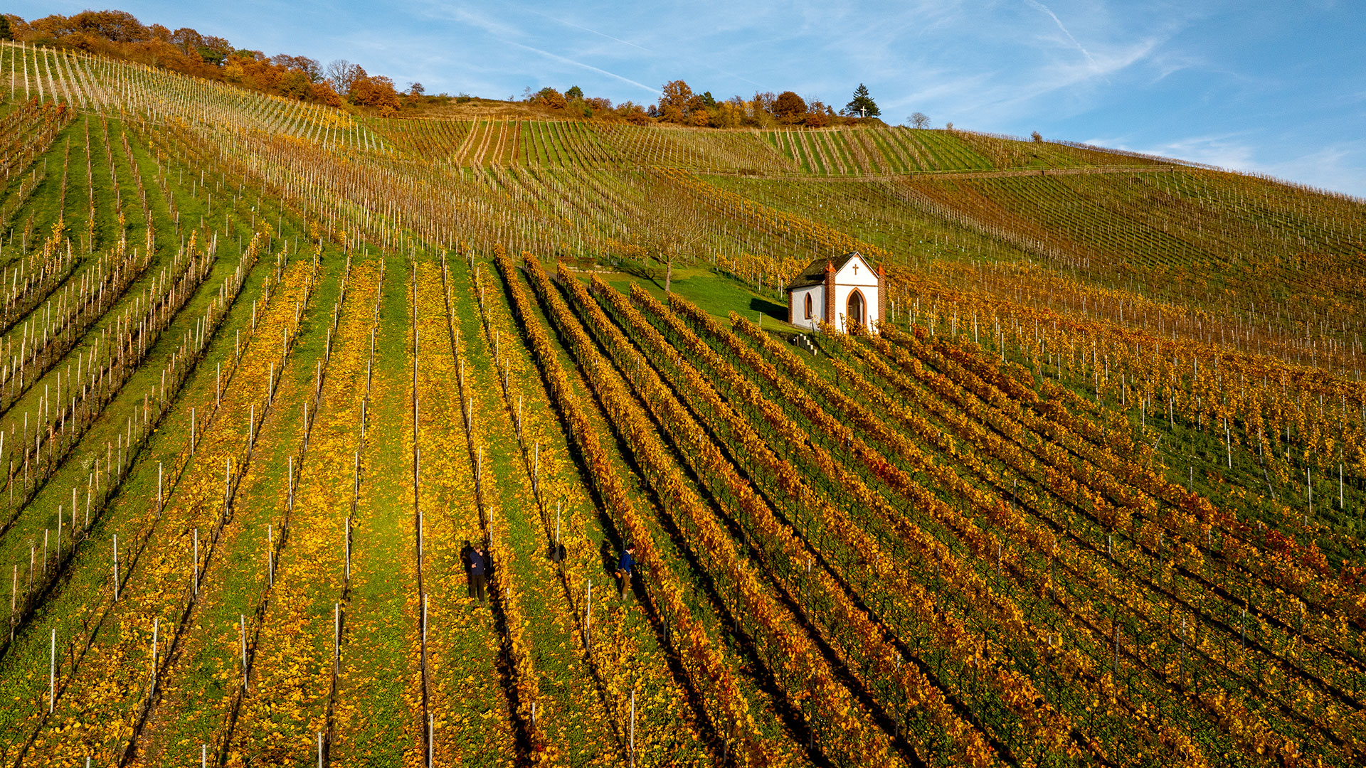 Weinberg Himmelreich mit kleiner Kapelle Weinberg Himmelreich mit kleiner Kapelle