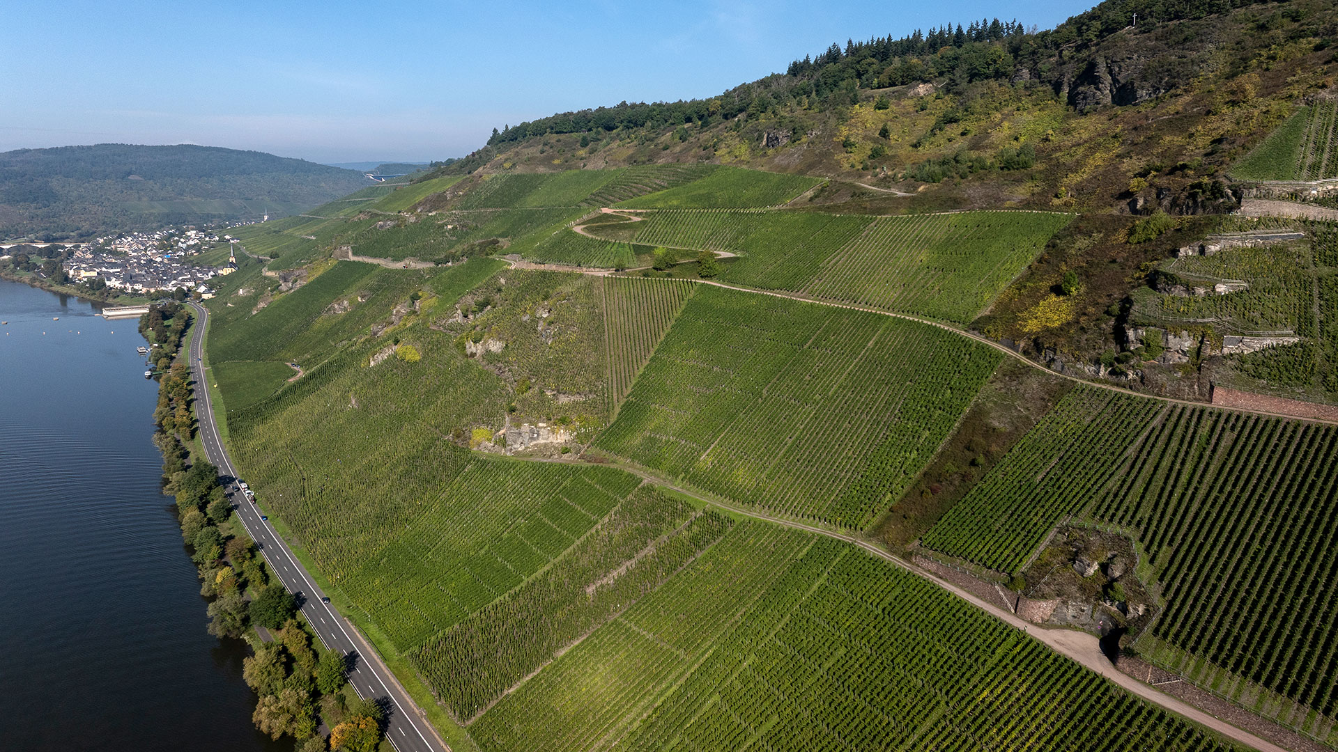 Weinberg Sonnenuhr an der Mosel Weinberg Sonnenuhr an der Mosel