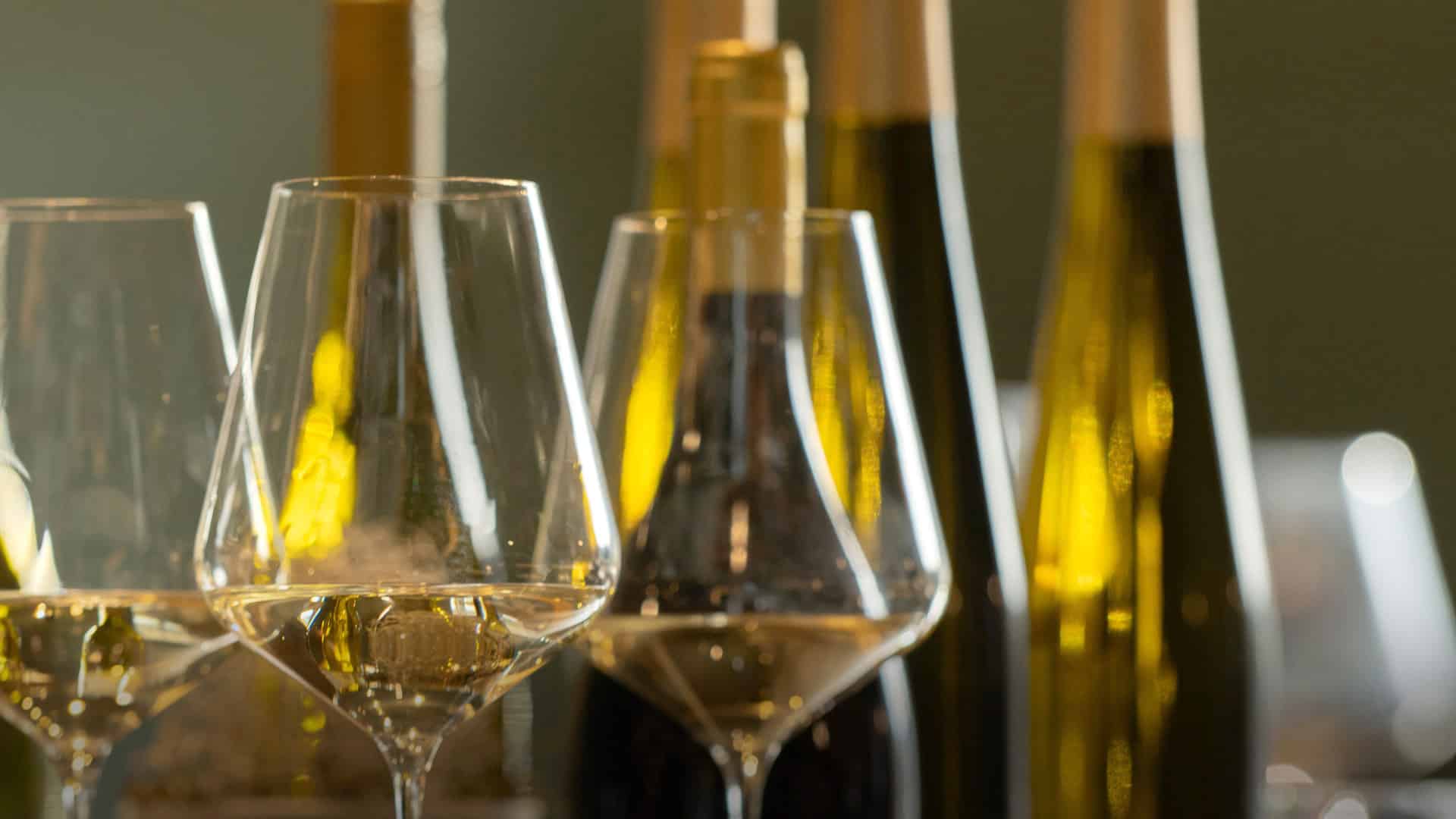 Nahaufnahme von Weingläsern mit Weißwein und Weinflaschen bei einer Weinprobe in der Vinothek des Heinrichshofs Weingläser und -flaschen