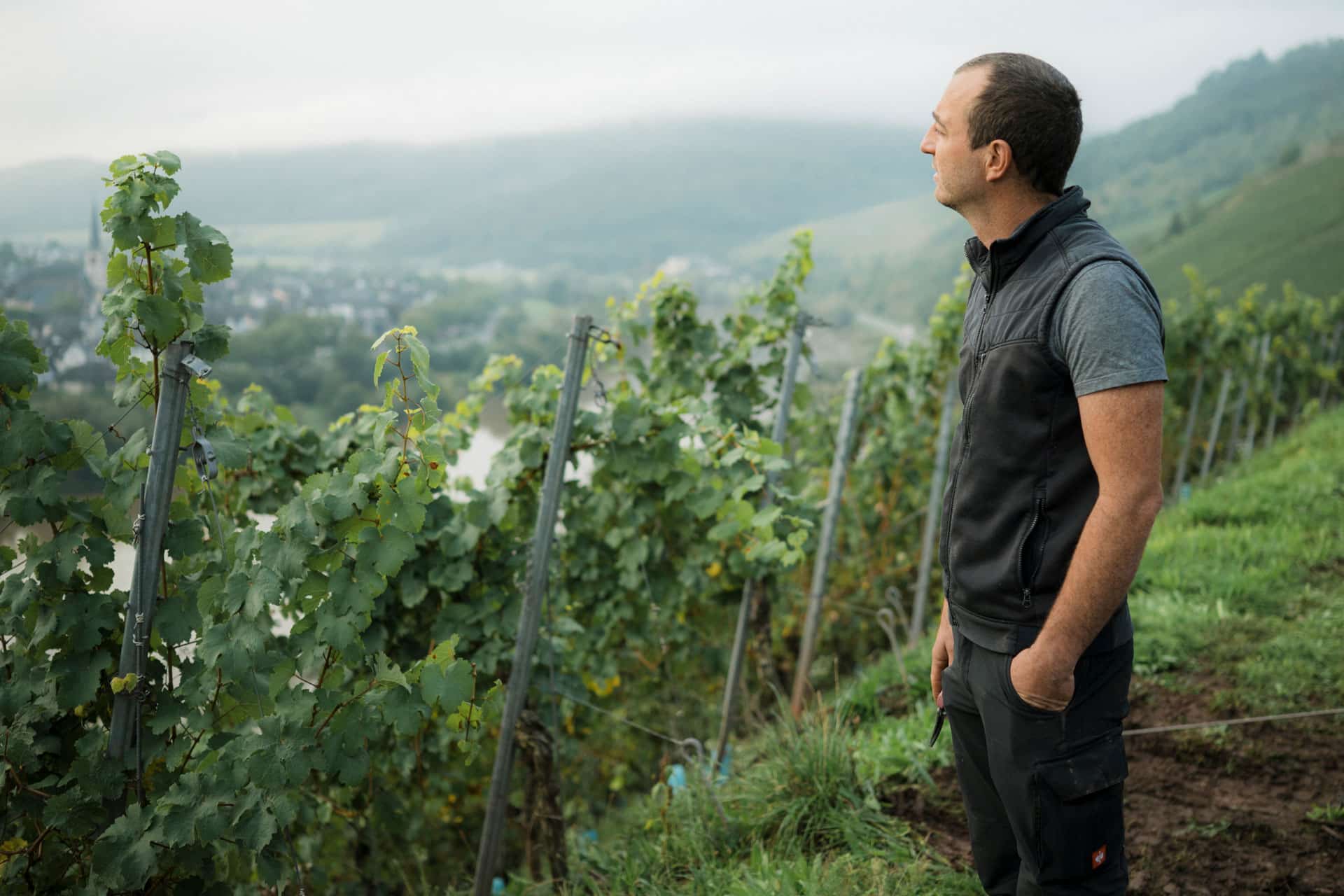 Einer der Winzer blickt vom Weinberg zur Mosel Einer der Winzer blickt vom Weinberg zur Mosel