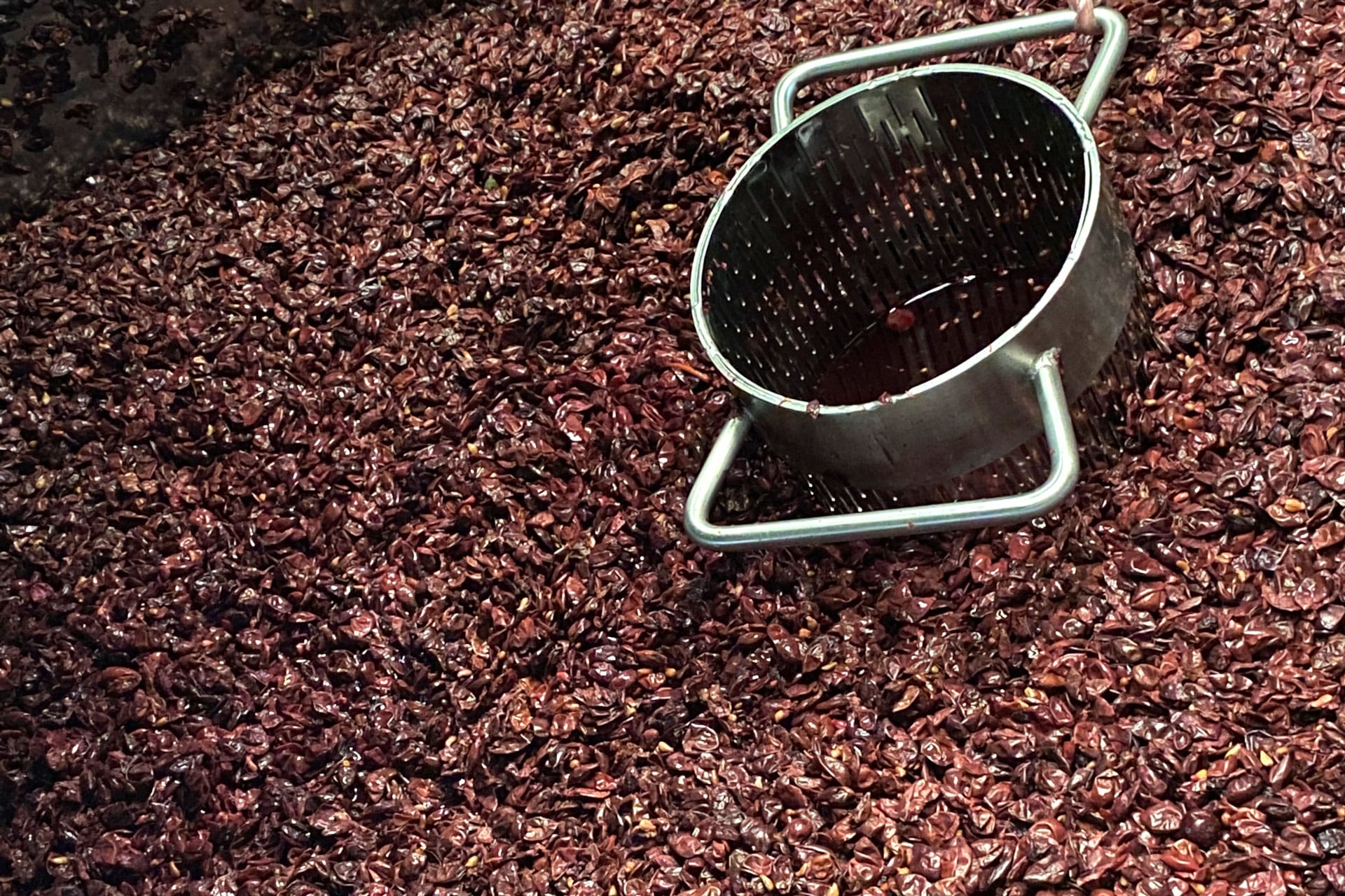 Erste Verarbeitung der Trauben auf dem Weg zum Moselwein Erste Verarbeitung der Trauben auf dem Weg zum Moselwein