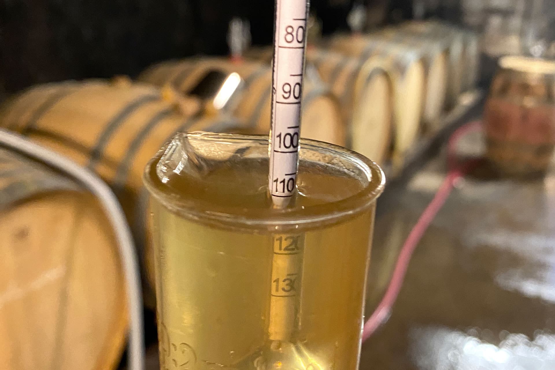 Alkoholgehaltbestimmung während des Gärungsprozesses Alkoholgehaltbestimmung während des Gärungsprozesses