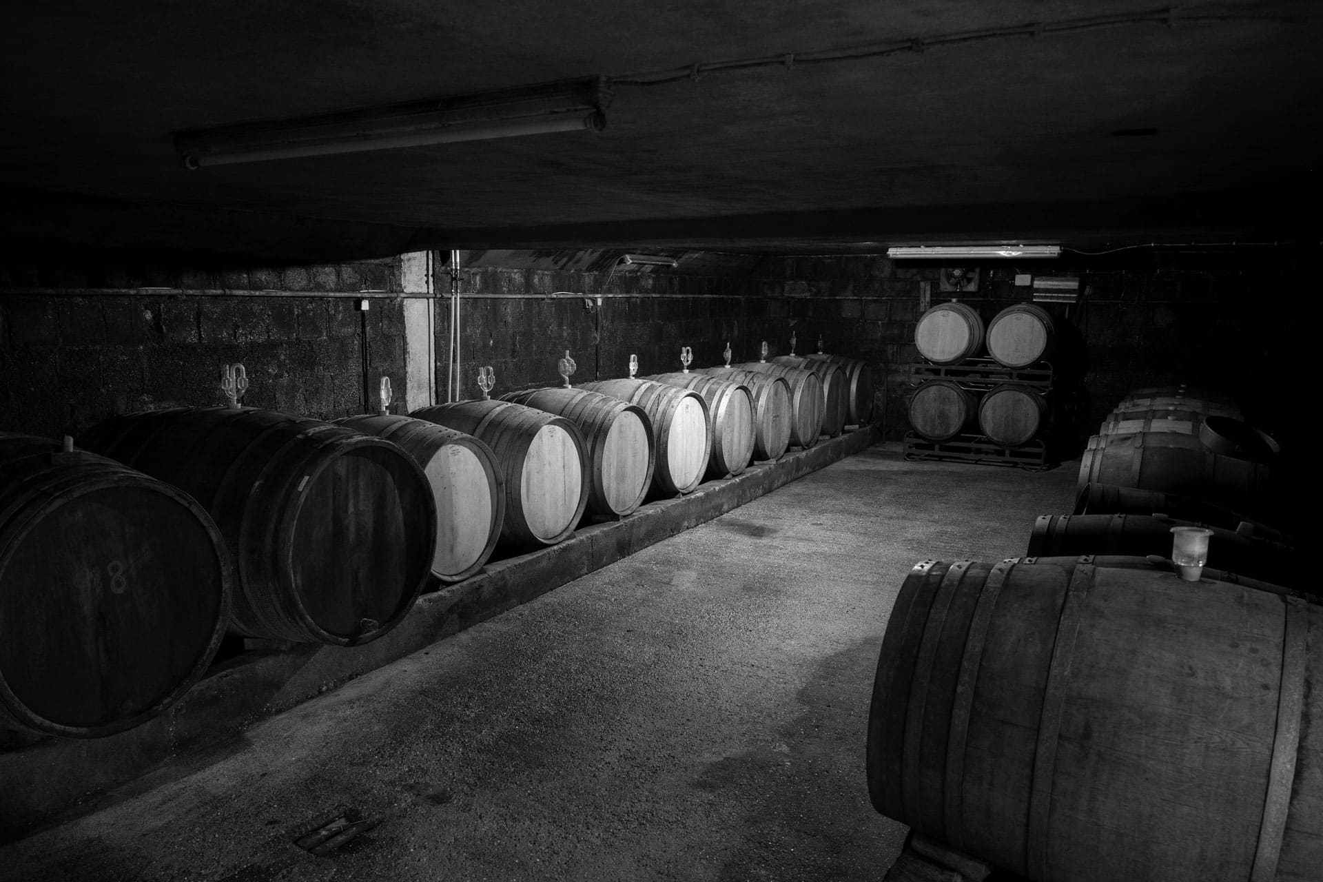 Weinlager mit mehreren Holzweinfässern Weinlager mit mehreren Holzweinfässern